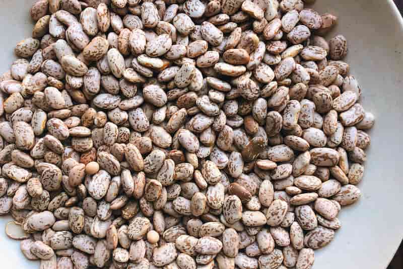 خرید و فروش لوبیا چیتی درشت با شرایط فوق العاده